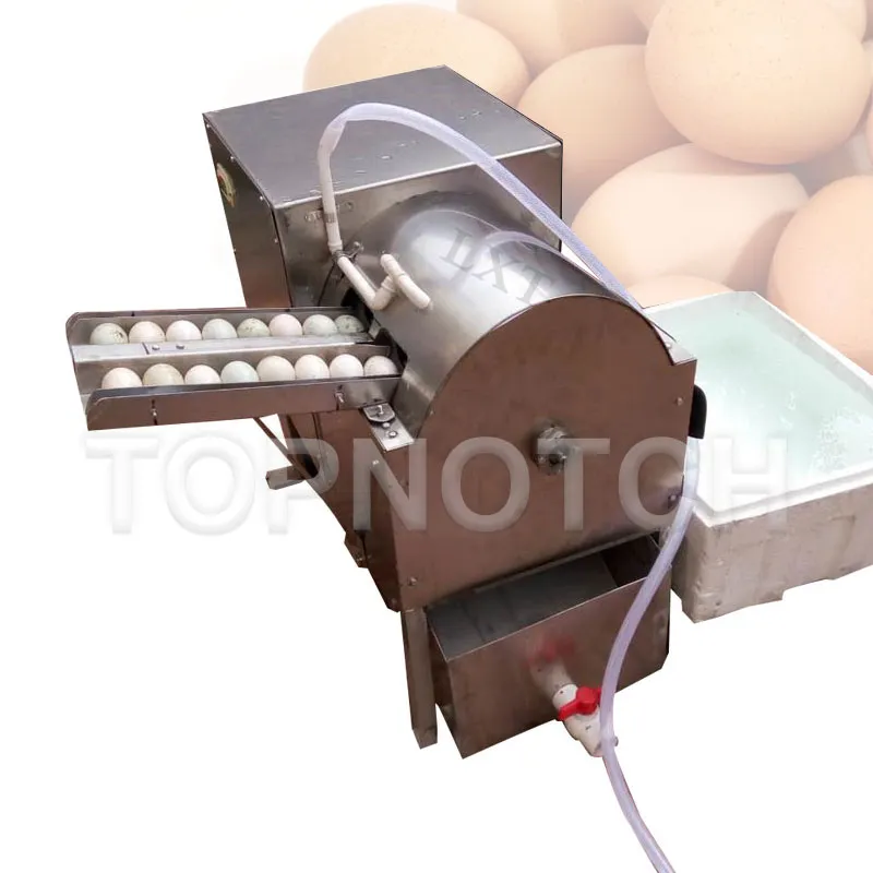 Double Row Automatic Chicken Egg Wasmachine Kwartiereieren Schoonmaken Maker