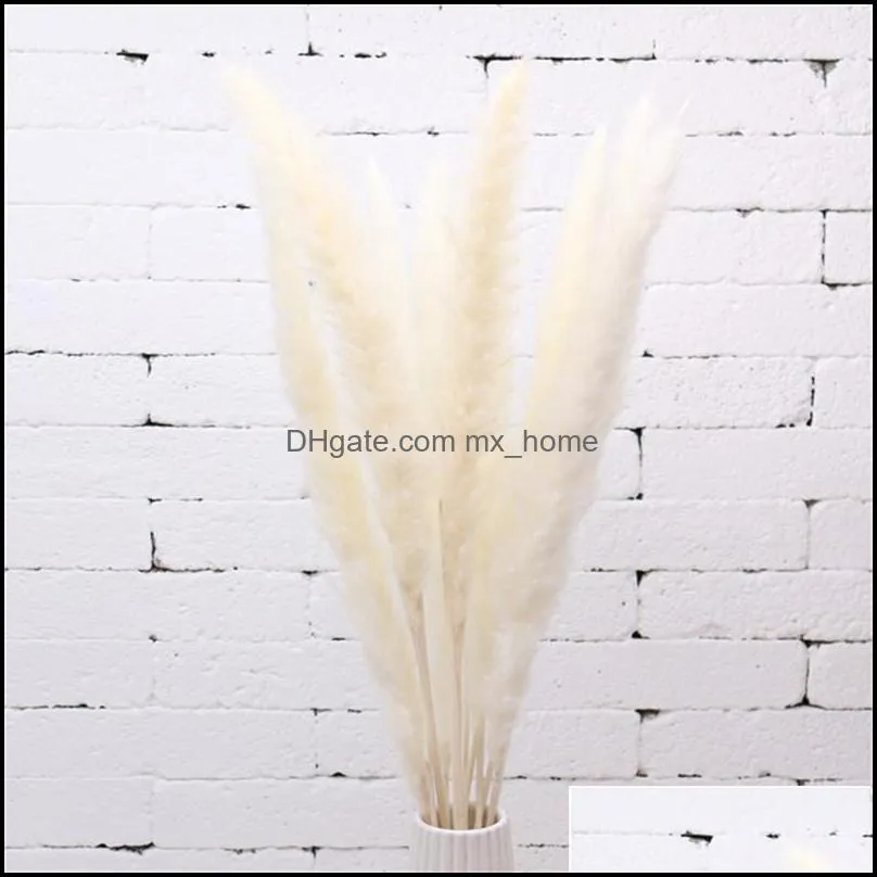 20 pcs Dried flower wedding pampam bunch home decor small pampas reed grass dried natural plants bunch Customizable colors