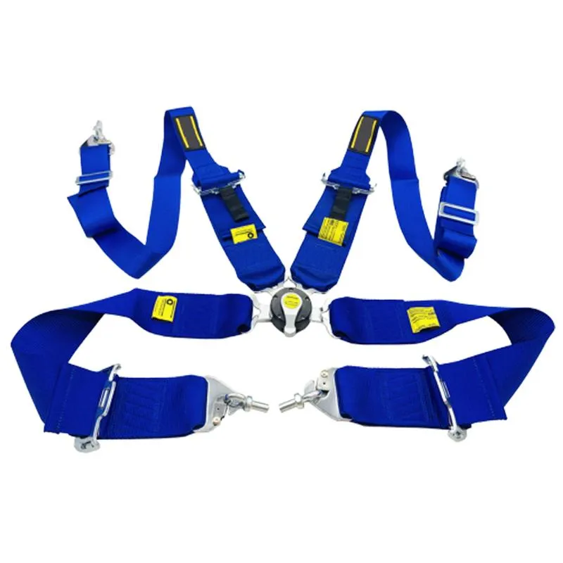 Ceinture deals 6 points