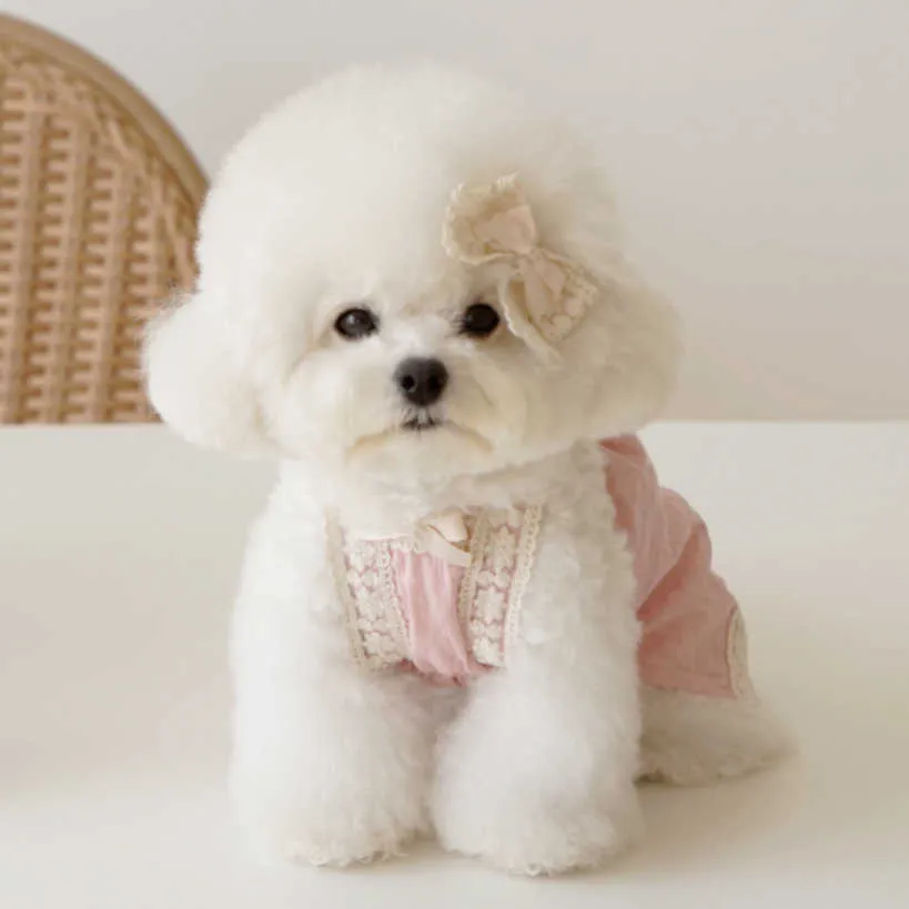 韓国の春と夏のスリングビコーンテディ犬のスカートコットンペット服ドレスのレースヘアピンを送る