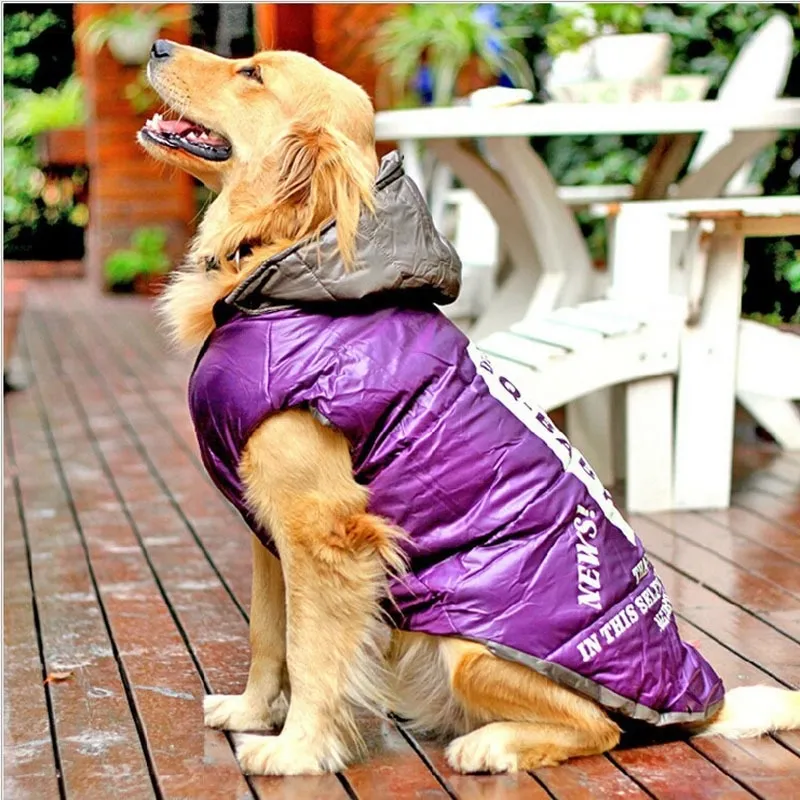 Dog sales down coat