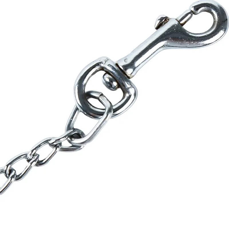 Metal dog chain online lead