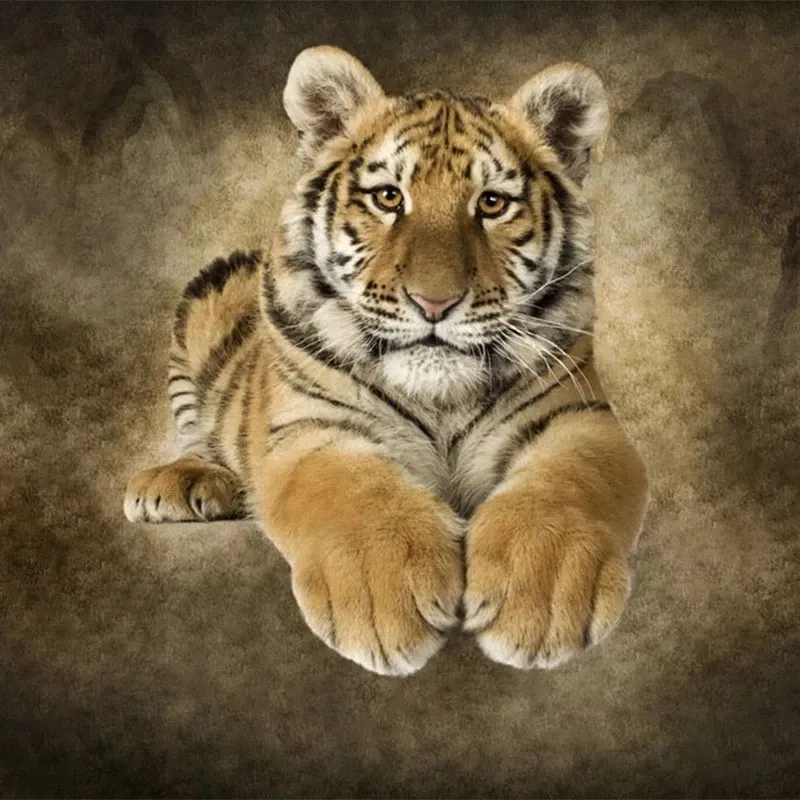 Pôster de parede com foto 3D personalizada, pintura de tigre, sala de  estar, entrada, quarto, fundo de parede, arte de parede, mural de animais