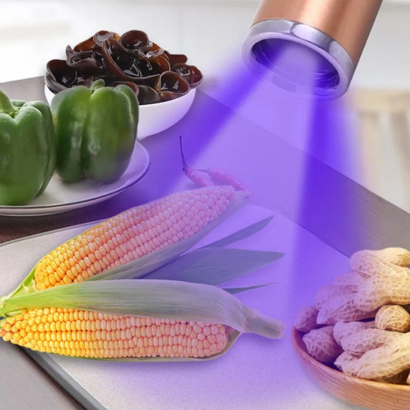 Flashlights Torches C5 Rechargeable UV Lamp 365nm Fluorescent Agent Kitchenware Bacteria Inspection Food Pet Test
