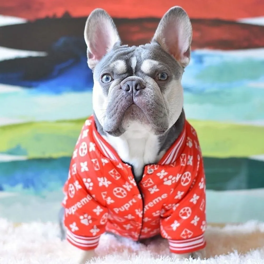 Vêtements de luxe pour chiens de compagnie Automne / Hiver Mode Chiens Apparesl Veste Lettre Imprimé Chaud Chat Hoodies Manteaux Vêtements Rouges Outwear Vêtements Bulldog en solde