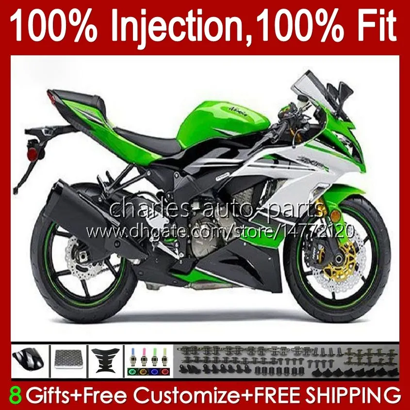 Injectielichaam voor Kawasaki Ninja ZX 6R 600CC 6 R 636 600 CC ZX6R 13 14 15 16 17 18 12 NO.47 ZX-636 ZX-6R ZX600 ZX636 2013 2014 2015 2016 2017 2018 OEM Fairing Kit Groen Wit