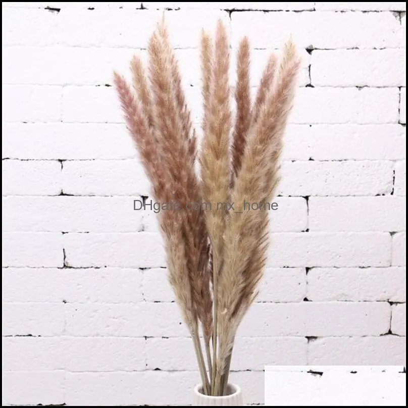 20 pcs Dried flower wedding pampam bunch home decor small pampas reed grass dried natural plants bunch Customizable colors