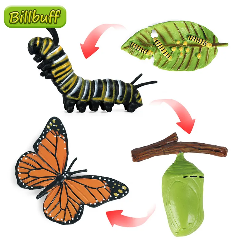 2020 Insect Animals Model Simulation Butterfly Growth Cycle Action Figures Figurine Miniature Educational Toys for children Gift C0220
