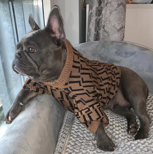 Autumn e Winter Sweater Big Dog Leisure Letra Brown Roupas de moda quente Tamanho XS-XXL