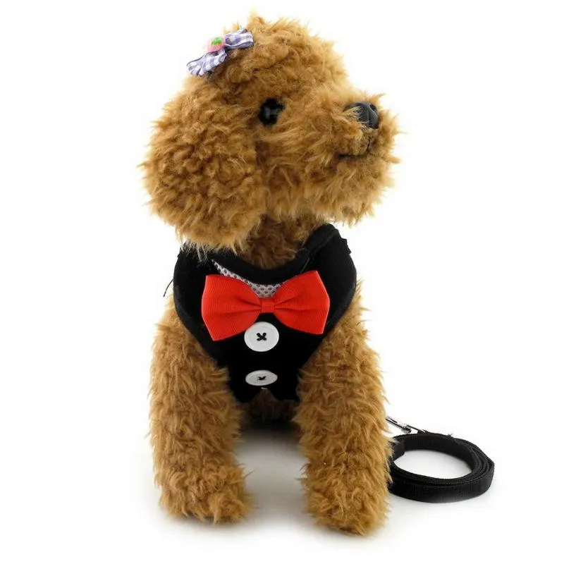 Dog Collars Smycze Szczeniak Velvet Plaid Bowtie Gentleman Garnitur Boy Tuxedo Hurness Kamizelka dla psów z uchwytem ph012