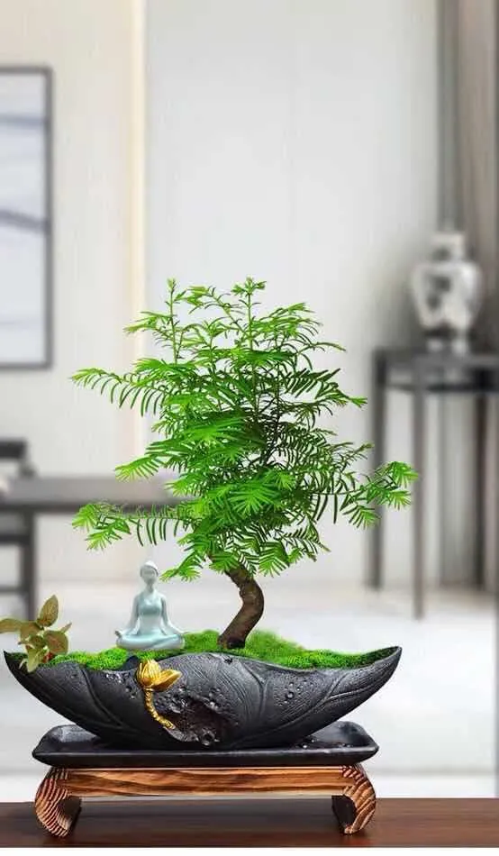 Chinese Bonsai Pot Not Include Plant Micro-landscape Creative