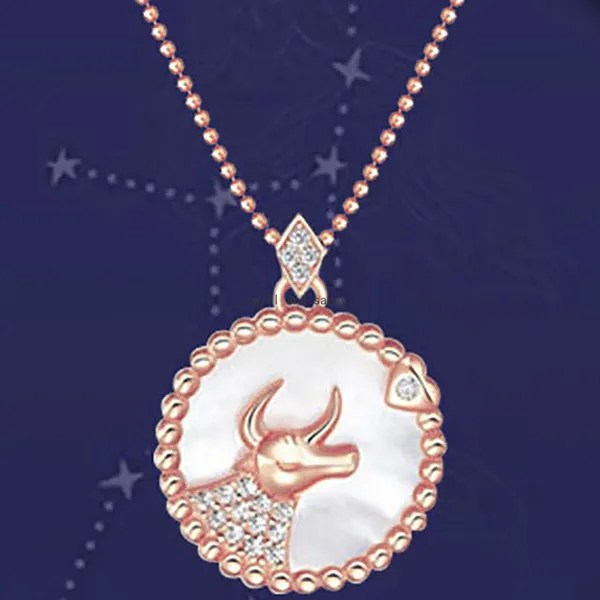 Twaalf Zodiac Sign ketting Ronde Horoscoop Libra Crystal Pendants Charm Star Sign Choker Astrology kettingen voor vrouwen Girl Fashion Jewelry Will en Sandy