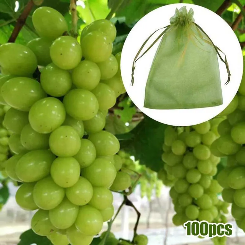 Andere tuinbenodigdheden 100 stks Mesh-tassen Druivenbescherming Nettingszak voor het beschermen van fruit Groente Seaking S-Eeds