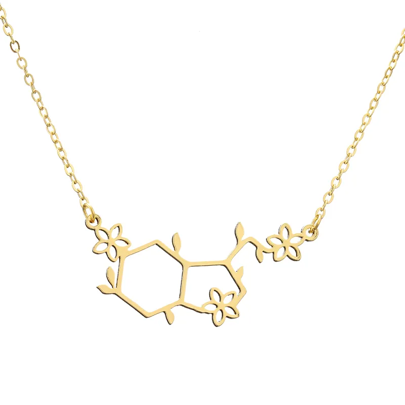 Gata molekyl halsband rostfritt stål halsband mode kvinnor hänge examen gåvor