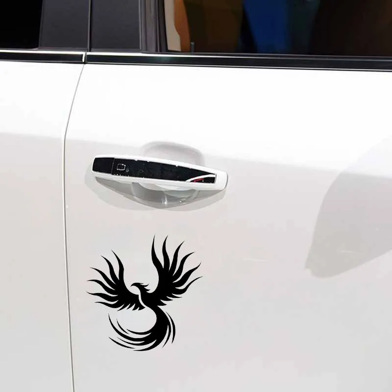 Adhesivos Fénix coche - Acabado Premium Garantizado