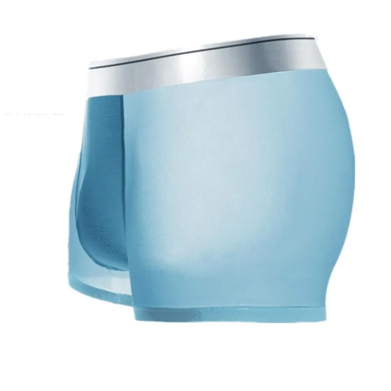 Unterhosen Sexy Homosexuell Unterwäsche Männer Boxer Transparente Eis Seide Höschen Mann Dünne Atmungsaktive Beutel Männliche Shorts Homme Plus Größe