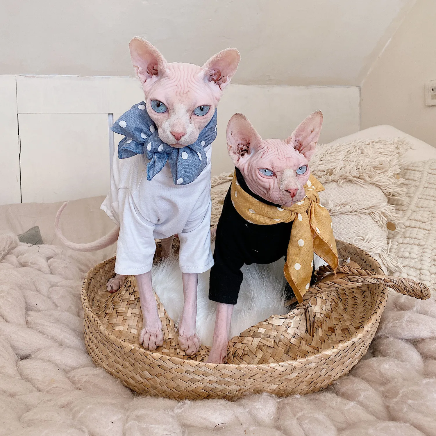 Cat Shirt Designer Sphynx Clothes Sphynx Cat Clothes UK