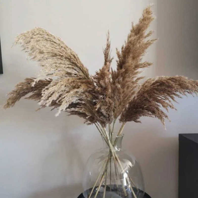 10/20pcs pampas grass decor plants home wedding decor dried flowers bunch feather flowers natural 210624