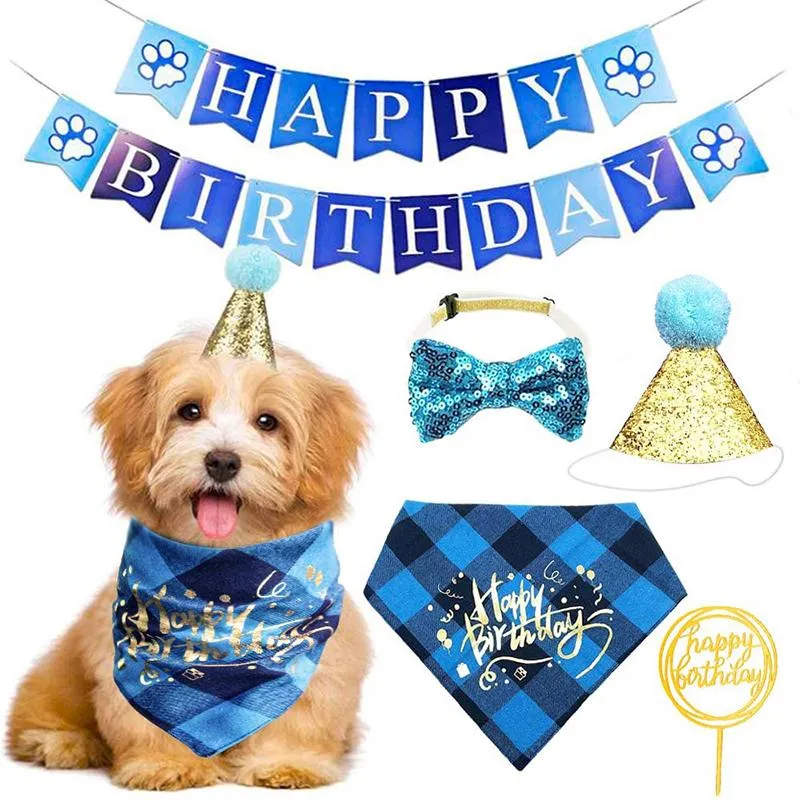 dog birthday tie