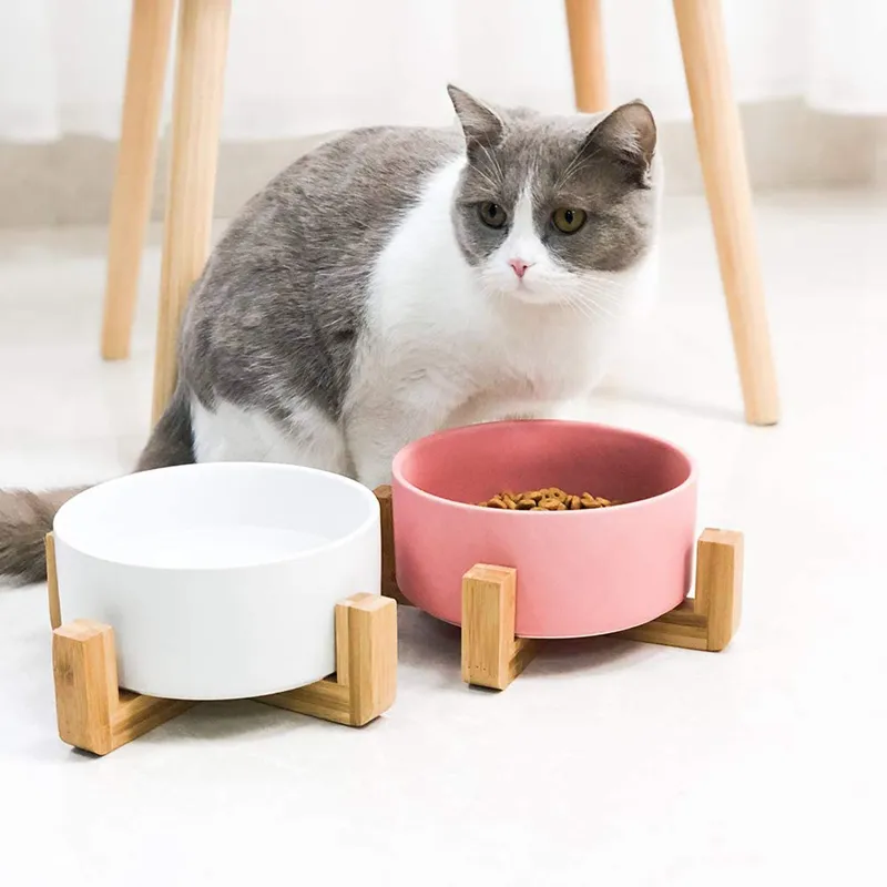 Matt White Ceramic Cat Bowl with Wood Stand No Spill Pet Food Water Feeder Cats Small Large Dogs 850ml