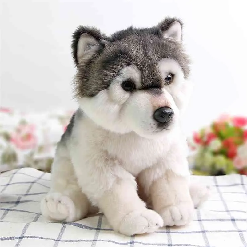 Drop Cuddly Wolf Plush Toy Lifelike Soft Stuffed Animal Adorable Plushy Kids Doll Fluffy Birthday Gifts for Children Boy 210728