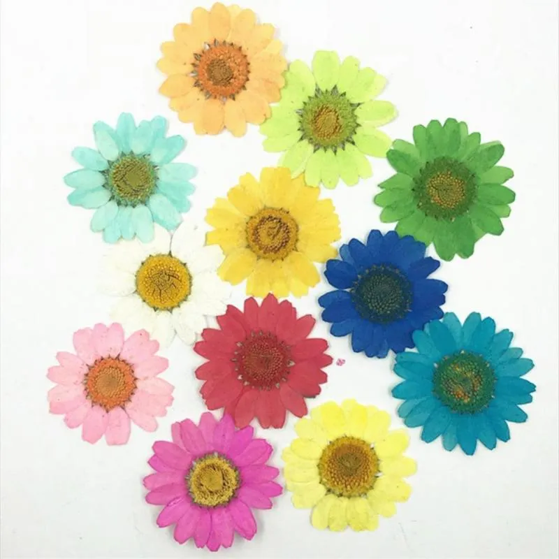 Novidade Itens 12pcs Cristal Chrysanthemum Tingido Flor Secada Pétala Handmade Bookmark Epoxy DIY Case Phone Plant Specimen Naur Craft