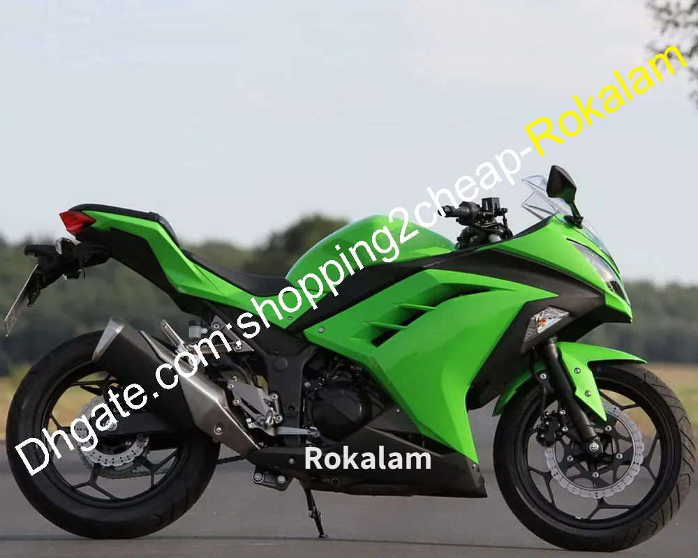 Kawasaki Ninja ZX300 için Kuralar ZX EX 300 300R EX300 13 14 15 16 MOTORBIKE ABS PLASTİK KAZANIM PERSİYONU SET (Enjeksiyon Kalıplama)