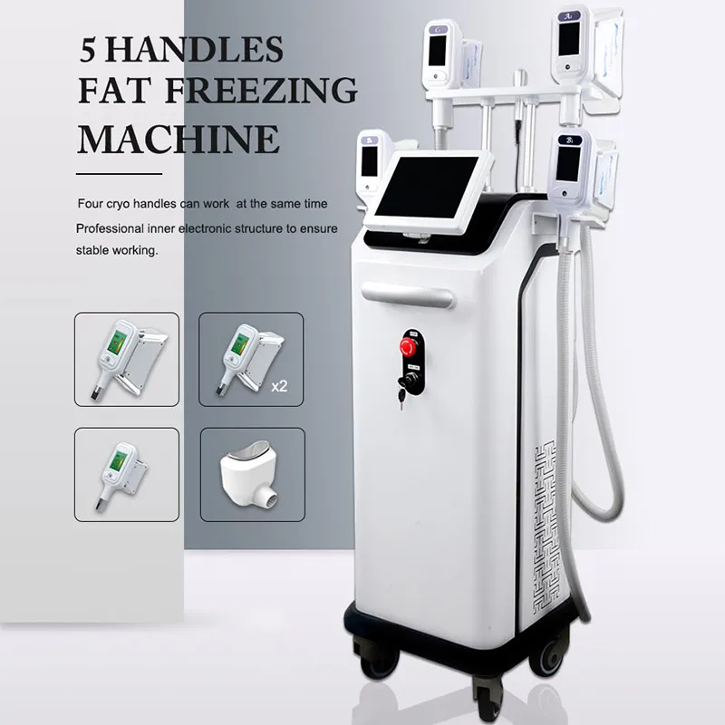 Lastest body shaping sculpture cryolipolysis weight loss machine big power CE FDA approved logo customization