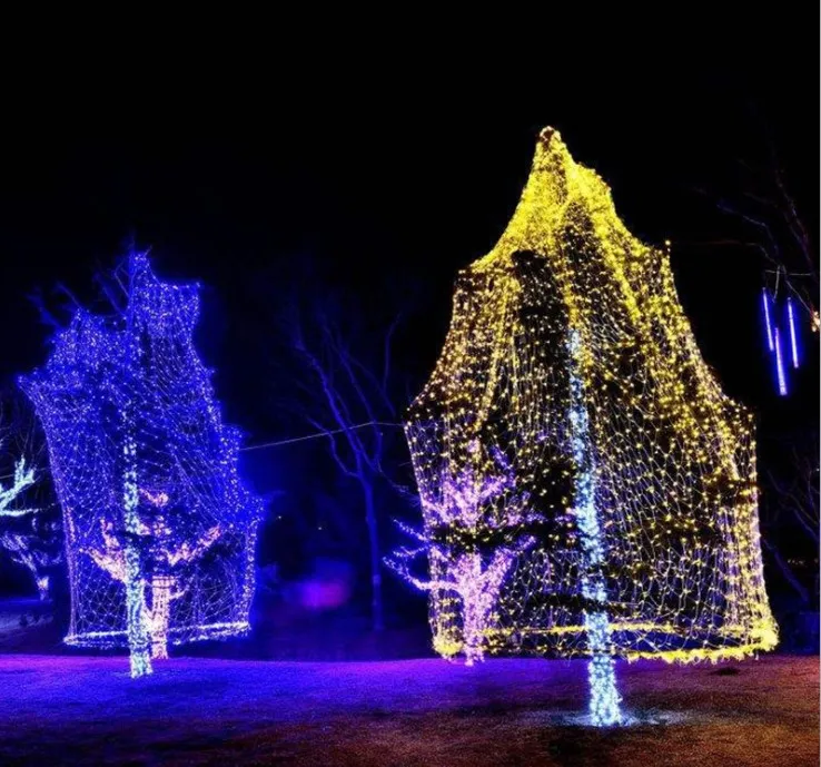 Impermeabile 4 m * 6 m Rete Led Stringhe Luci natalizie Fata Reti a rete Fata Giardino esterno Capodanno Festa di nozze 110 V / 220 V