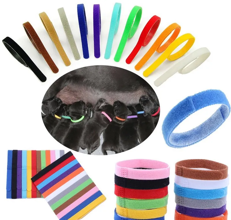 Puppy ID Collar Identification Collars Band for Whelp Puppy Kitten Dog Pet Cat Velvet Practical 12 Colors