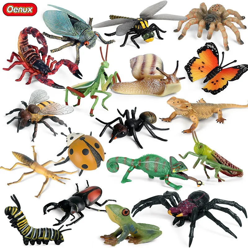 Oenux Insect Animals Model Butterfly Mantis Spider Bee Scorpion Dragonfly Action Figures Figurine Miniature Educational Kids Toy C0220