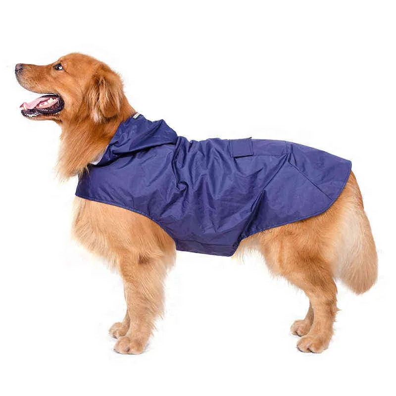 Large Dog Raincoat (1)