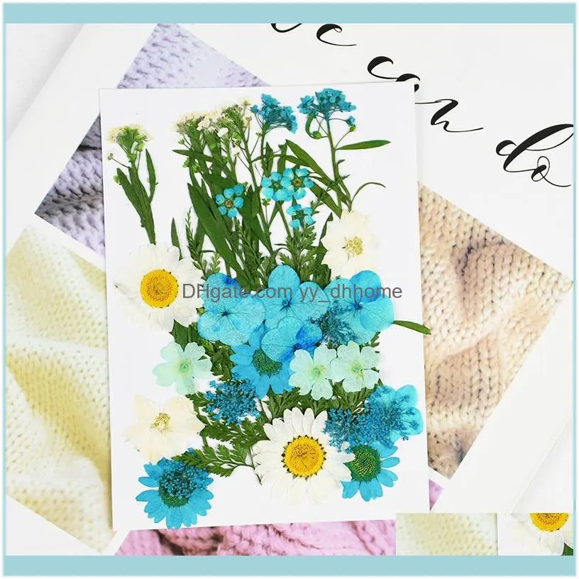 Pressed Flowers Small Dried Flower Plant DIY Handmade Scrapbooking Floral Bookmark Card Gift Box Wreath Wedding Party Decoration1