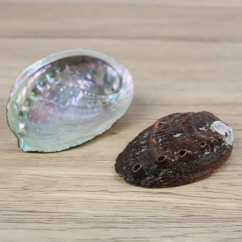 Dekoracje Akwaria Ryby Pet Supplies Garden5 Rozmiary Abalone Nautical Seashell Beach Wedding Shells Ocean Jewelry DIY Shell Soap 4945 Q2