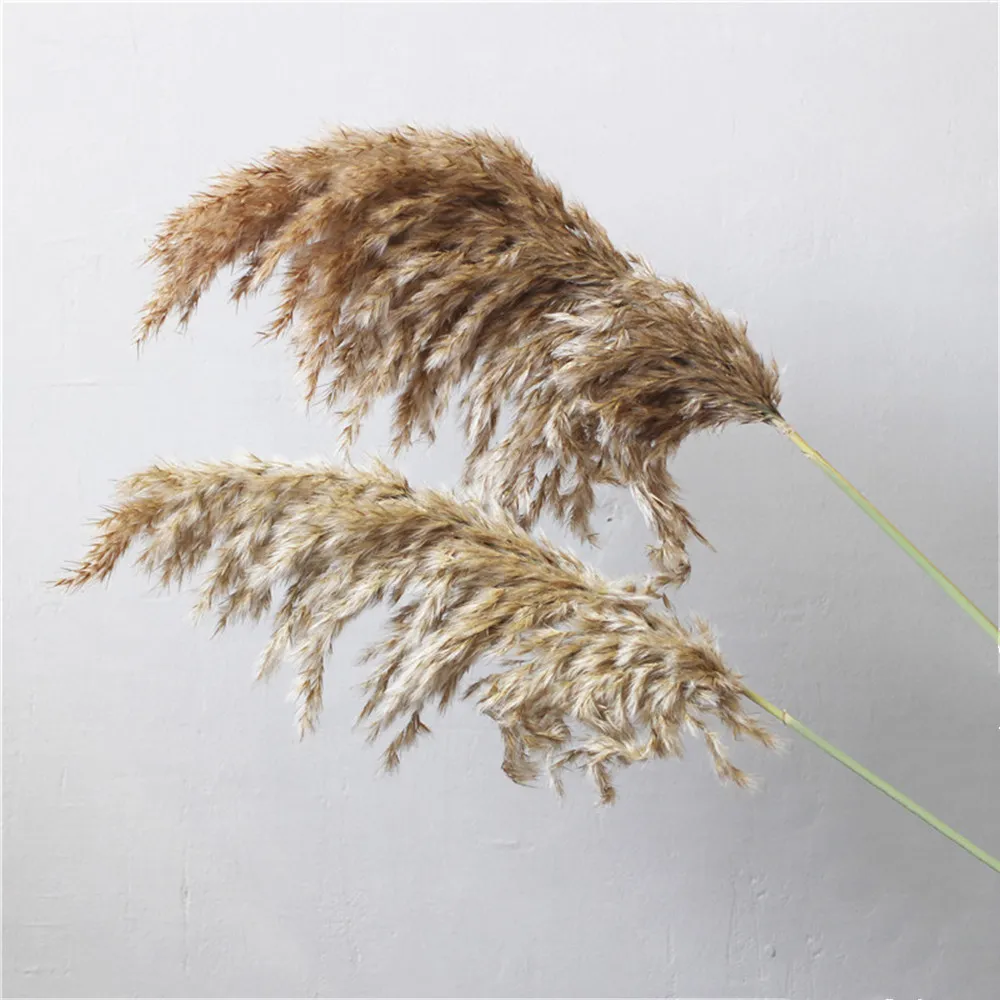 20 stks Pampas Grass Christmas Decorations Flower Bunch