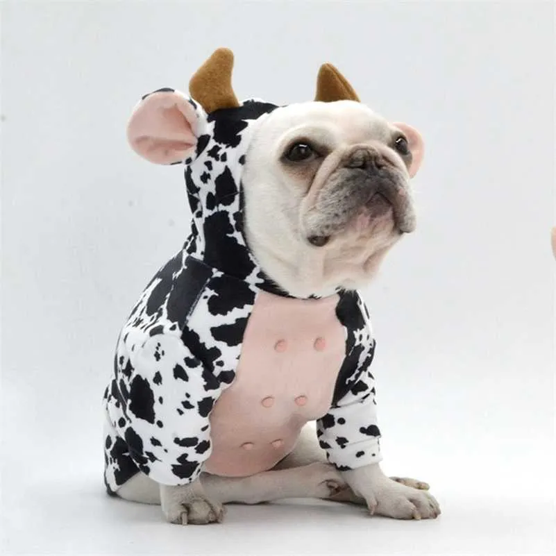 Frenchie dog sale clothing