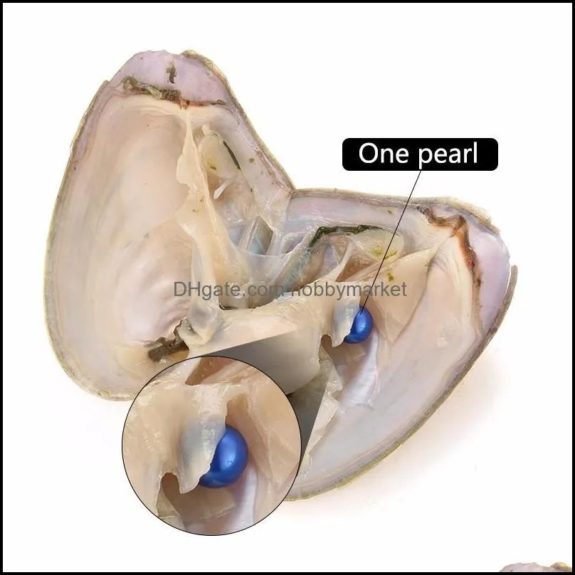 2021 New DIY Freshwater Pearl Oyster with Natural Grade 6-7 mm Multicolor Round Pearl Party Fun with Friends and Kids Speical Gift!