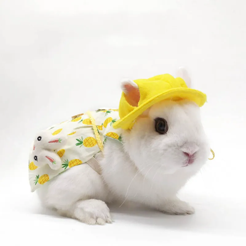 Pet Supplies Bunny Clothe Cat, Lop-eared Kanin, Ornament, Kostymer, Resor Foton 6 stilar 2 storlekar 2021