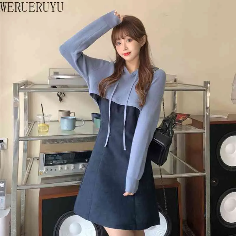 WERUERUYU Fashion Women Dress with Out Wear Blue Brown Color Two Piece Suit Winte Female Dresses 210608