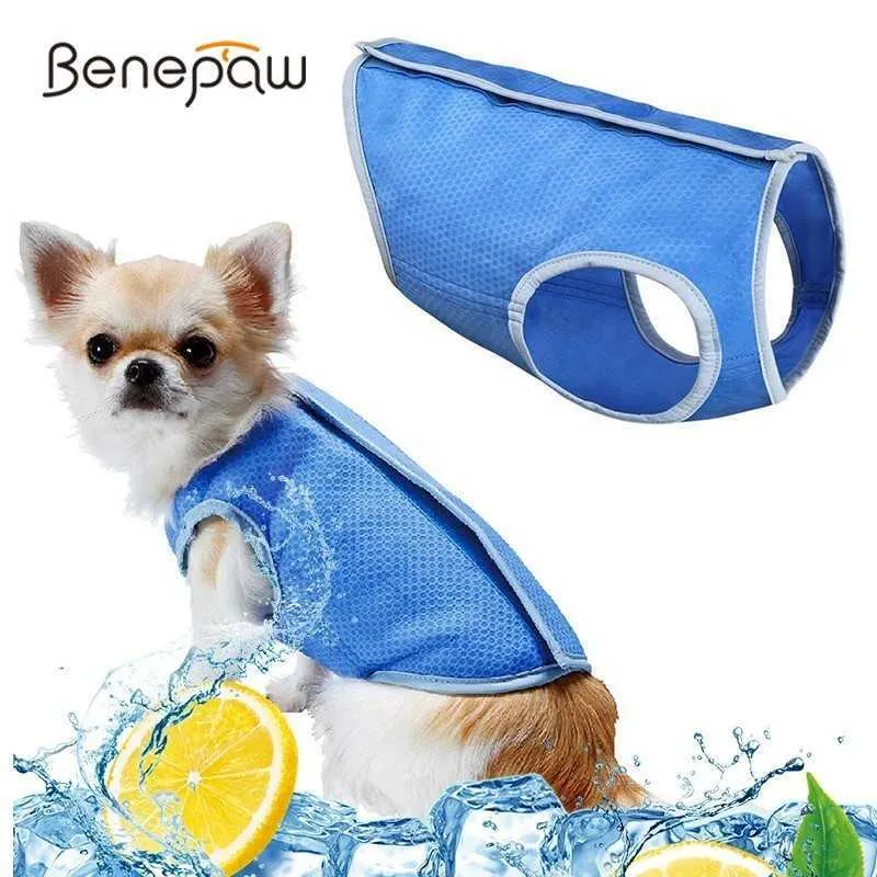 Benepaw Léger Refroidissement Chien Gilet Retour Crochet Et Boucle Fermeture Non Toxique Pet Chien Vêtements D'été Manteau Veste Pour Chiot Chat Chaton 211007