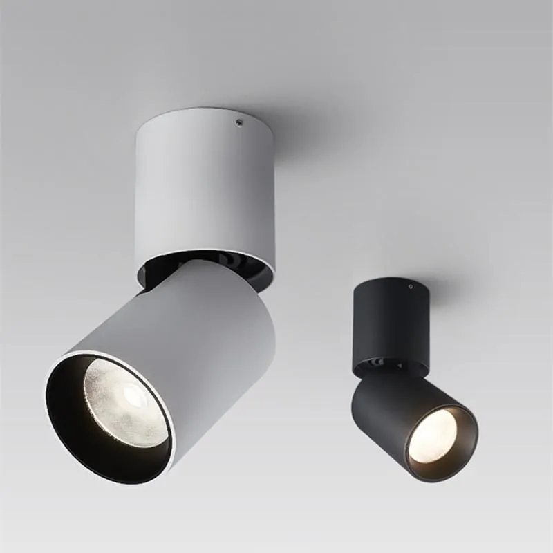 Downlights Dimbare AC110-220 V Roterende LED 10W 15W 20W Oppervlakte Gemonteerd Aanpassing COB Plafond Spotlampen Lamp Indoor