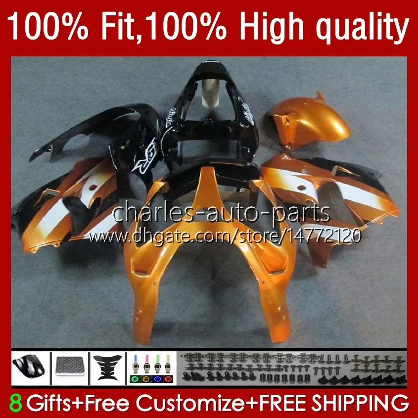ハット Golden OEM Golden Black Injection Mold Bodywork For Kawasaki Ninja