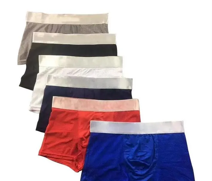 5 st/lot Herrunderkläder Kalsonger Boxershorts Modal Sexig Gay Man Ceuca Boxers Andas Nytt Mesh Underkläder för män M-XXL Hög kvalitet