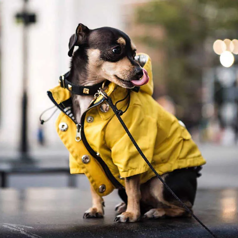 Husdjur hund kläder för små medelstora hundar vattentäta valp regnrock mode cool hund jacka kappa vindtäta hundar outfit husdjur suppleie 211007