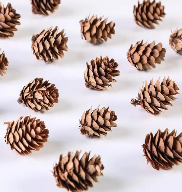 Mini Güzel Doğal Kurutulmuş Çiçek Pinecone Serisi Noel Süslemeleri Ev DIY Hediyeler Kutusu Yapay Bitkiler GC578