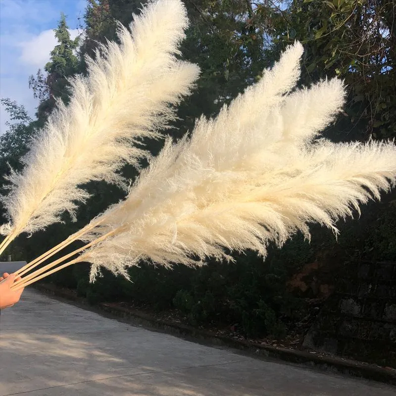 80cm Pampas Grass Natural Reed Wedding Dried Flower Large Ceremony Modern Home Decoration Valentines Day Fast Shipping