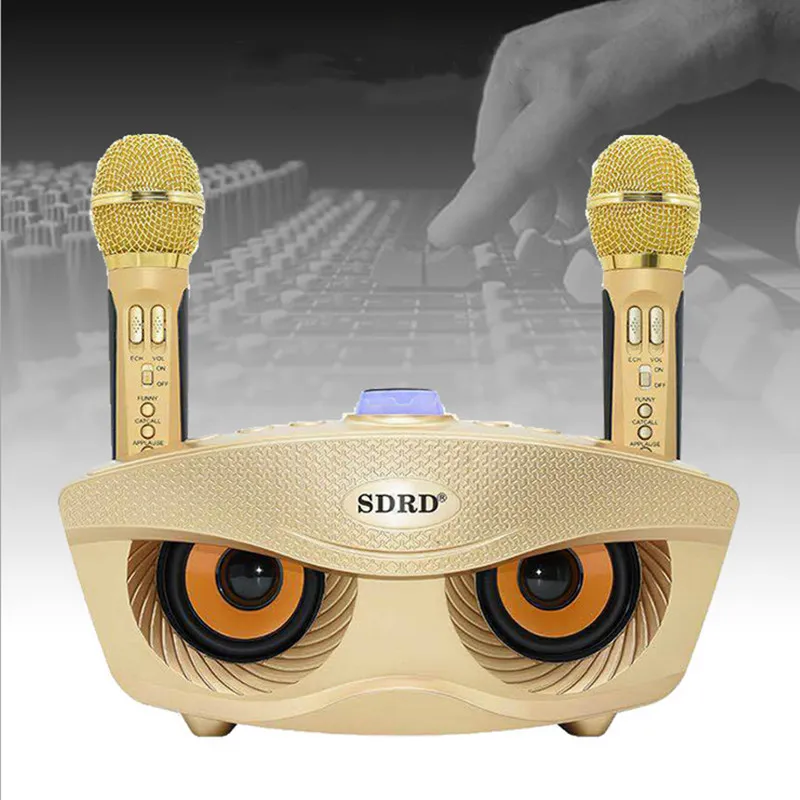 OWL SD306 FAMILIE KTV Draadloze Microfoon Bluetooth Luidspreker Ondersteuning K Song Duo Chorus
