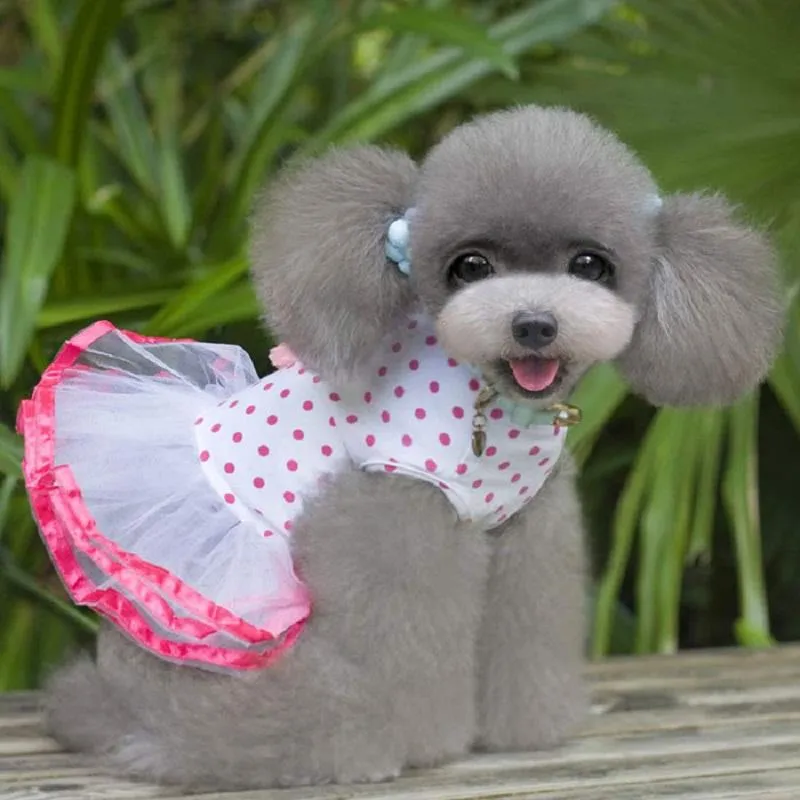 Hundebekleidung Sommer Haustiere Kleid 2021 Mode Welpen Prinzessin Kirsche Spitze Rock Pet Tutu