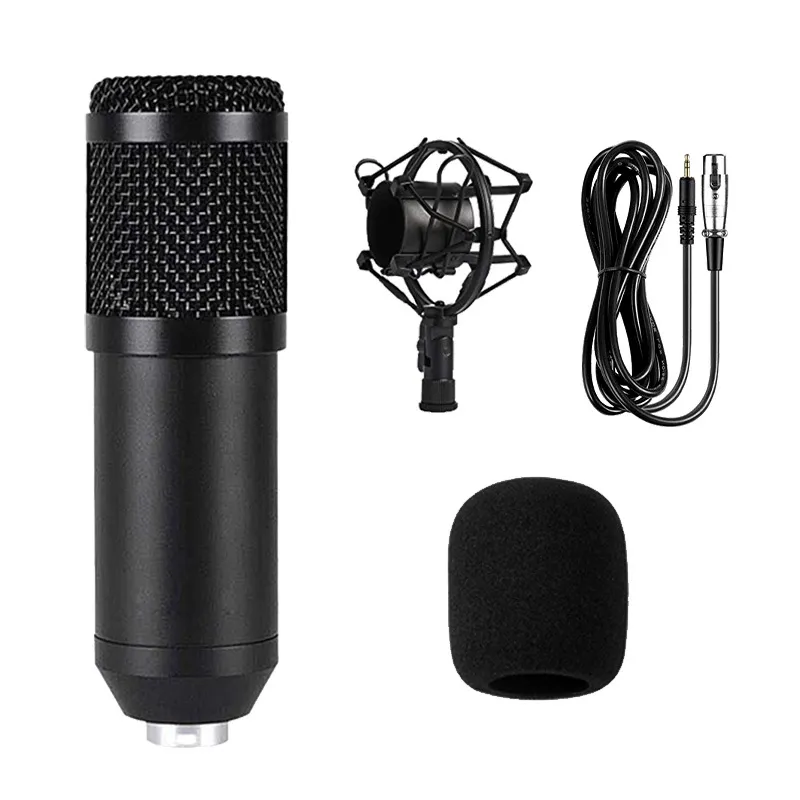 Microphone Denregistrement Professionnel À Condensateur BM800 Avec
