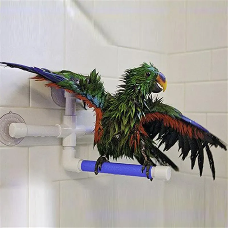 Övriga fågelartiklar PapegoT Leksaker Baddusch Stående Platform Rack Abbor Parakeet Pet Tillbehör